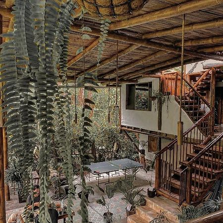 Cinnamon House Mindo Dış mekan fotoğraf