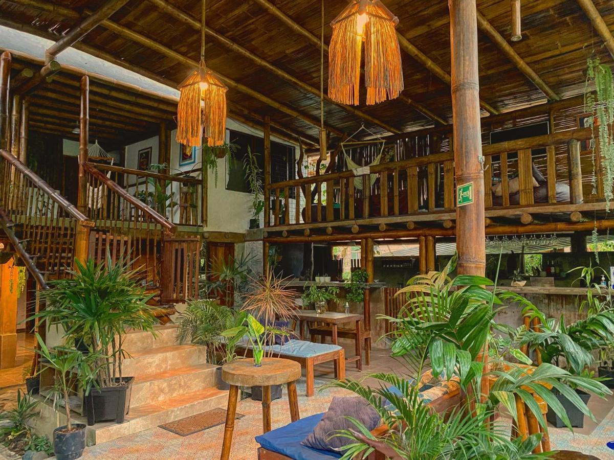 Cinnamon House Mindo Dış mekan fotoğraf