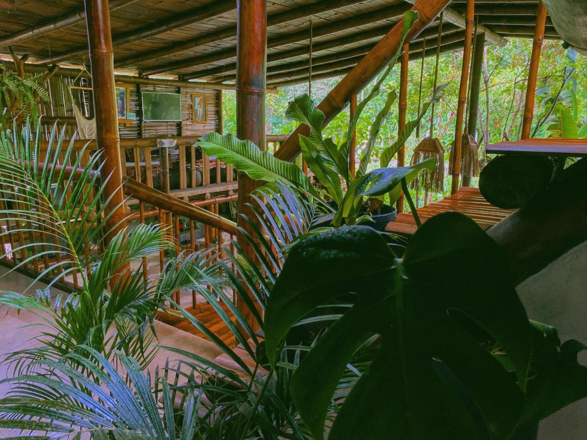 Cinnamon House Mindo Dış mekan fotoğraf