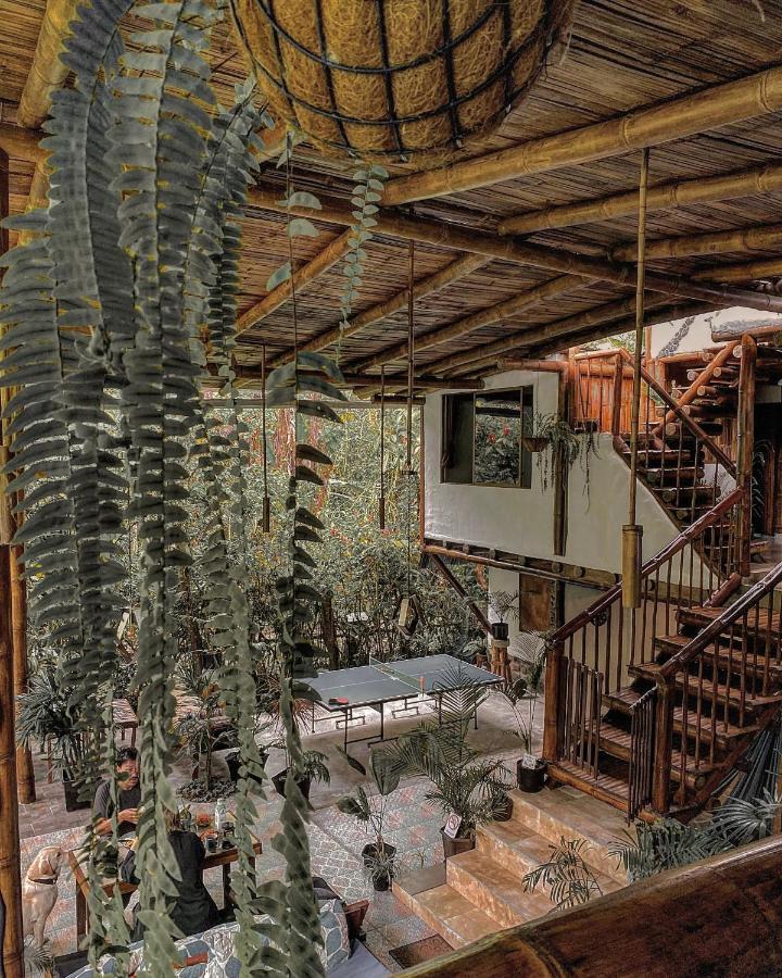 Cinnamon House Mindo Dış mekan fotoğraf